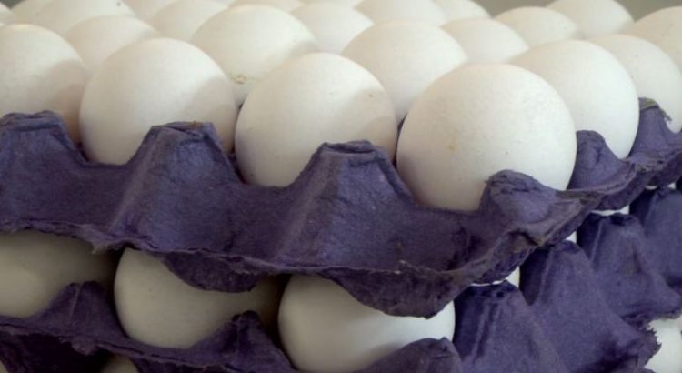 Cartera de huevo llega a $90 en Quintana Roo