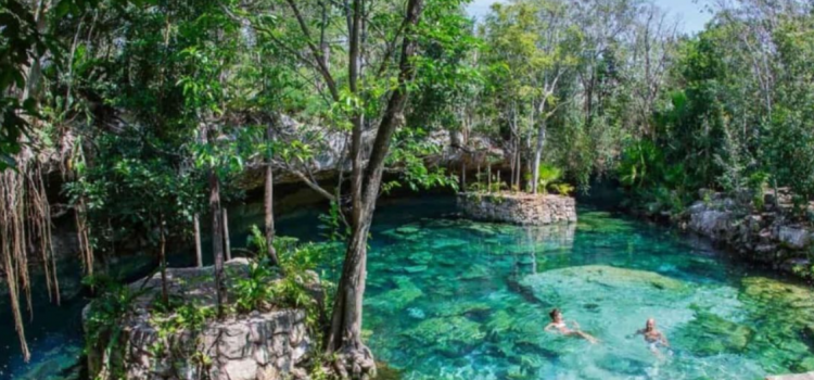 Cenotes de Quintana Roo están contaminados con la bacteria E. Coli