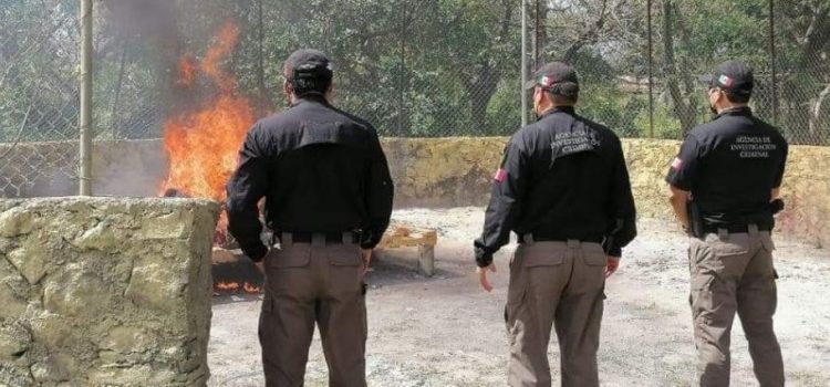 Incineran más de media tonelada de drogas en Quintana Roo