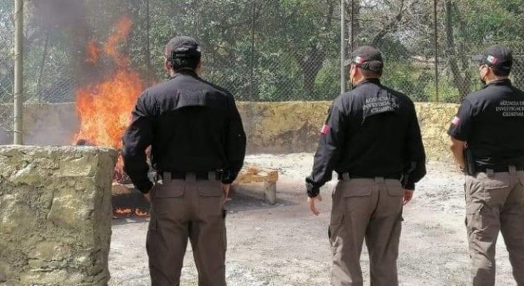 Incineran más de media tonelada de drogas en Quintana Roo