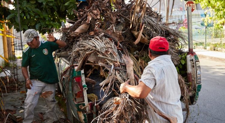 Retiran residuos verdes y cacharros en colonias de la Isla Cozumel