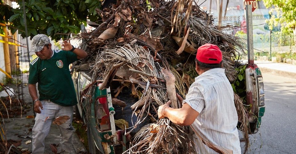 Retiran residuos verdes y cacharros en colonias de la Isla Cozumel