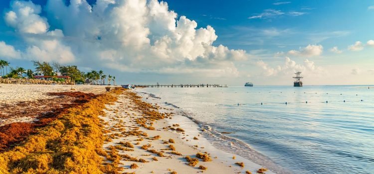 Congreso de Quintana Roo solicitará recursos de Fonden frente al arribo de sargazo