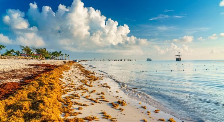 Congreso de Quintana Roo solicitará recursos de Fonden frente al arribo de sargazo