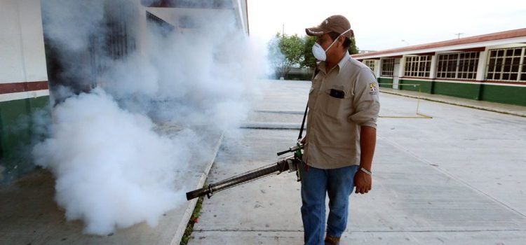 Registra Quintana Roo la segunda muerte por dengue