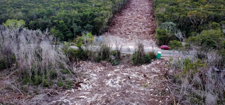 Solicita CCA expediente sobre el impacto ambiental del Tren Maya en Quintana Roo
