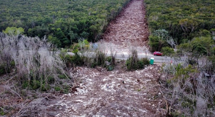 Solicita CCA expediente sobre el impacto ambiental del Tren Maya en Quintana Roo