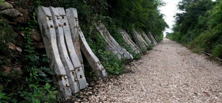 Organizaciones ambientalistas logran detener el desembarco de balasto para el Tren Maya