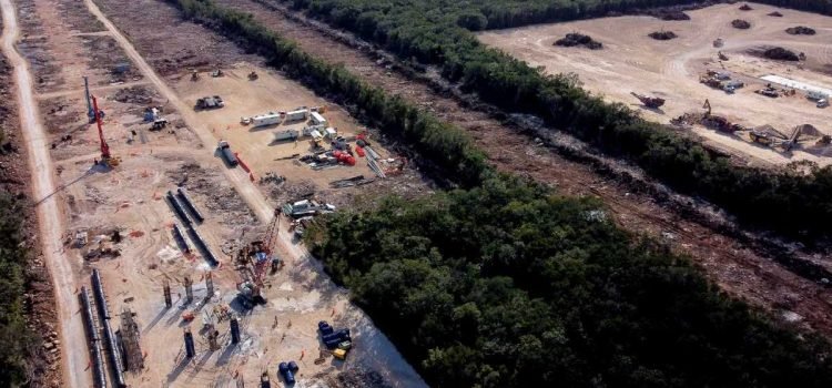 Tren Maya vulnera los derechos de la naturaleza: Tribunal Internacional