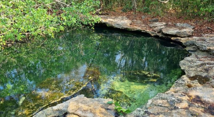 Recurso aprobado para Áreas Naturales en Quintana Roo es insuficiente:  Sian Ka’an