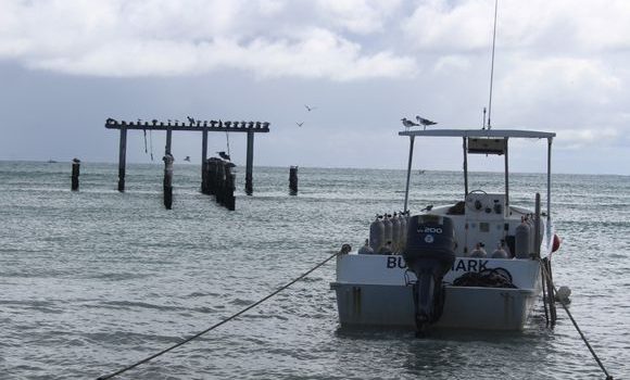Cierran el puerto a embarcaciones menores en Quintana Roo debido a surada