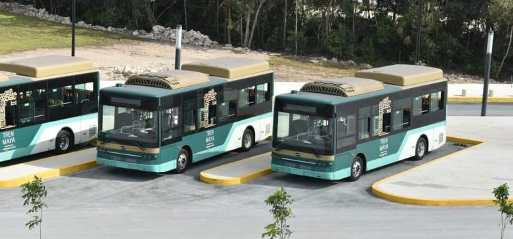 Listos para operar, los autobuses que conectarán el aeropuerto de Cancún con la terminal del Tren Maya