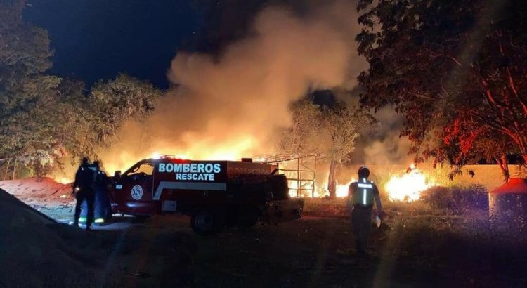 Invitan a prevenir incendios forestales en Cancún