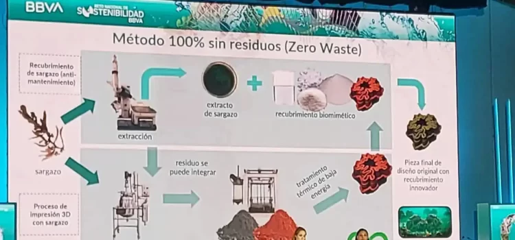 Prueban hoteleros de Riviera Maya arrecifes artificiales hechos con sargazo