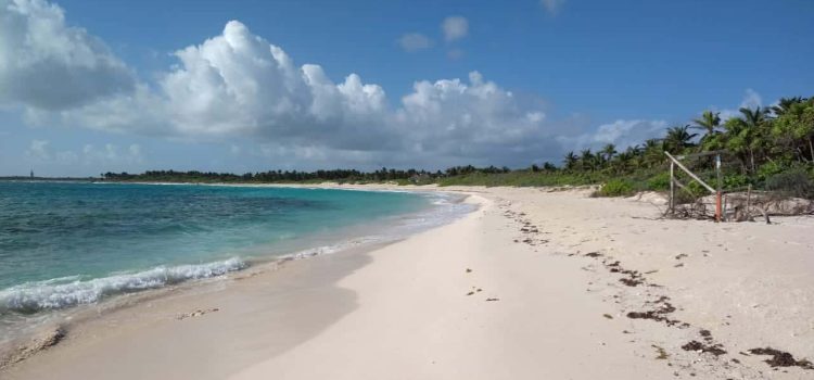 Se está poniendo orden territorial en Quintana Roo: Claudia Sheinbaum