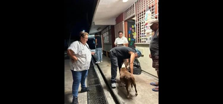 Resguardaron a 57 personas en Cancún por el paso del huracán ‘Milton’