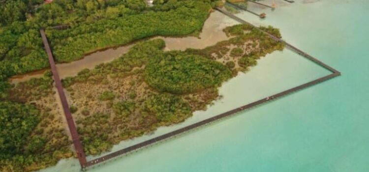 Ecoparque de Bacalar es finalista del Mies Crown Hall Americas Prize Ecoparque de Bacalar es finalista del Mies Crown Hall Americas Prize