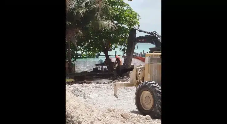 Greenpeace apoya acciones ciudadanas contra obra en Bacalar