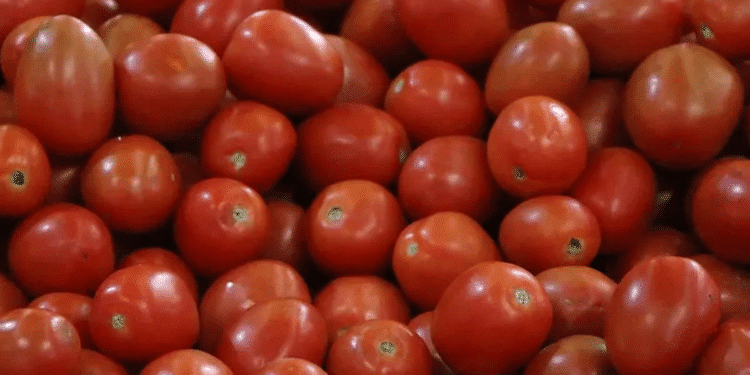Estados Unidos impone nuevos aranceles al tomate mexicano