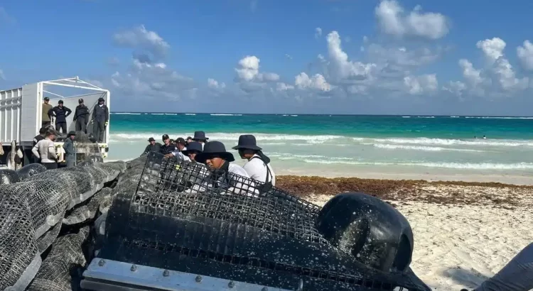 Semar prepara instalación de las barreras antisargazo en Tulum