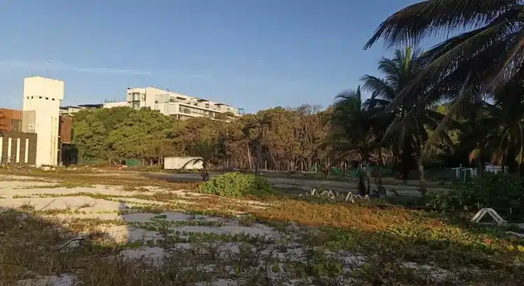 Gobierno municipal niega tala de mangle en Playa Mamitas; no hay licencia de construcción en la zona