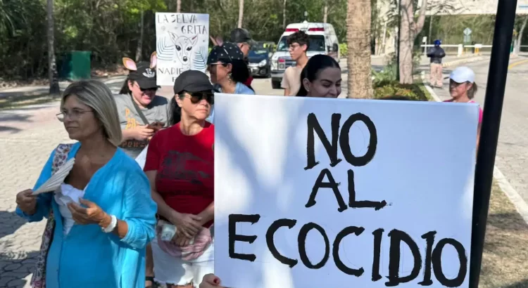 Vecinos de Playacar marchan en favor de la vida silvestre