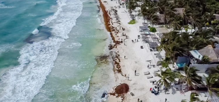 Elaboran estudio de capacidad de carga de las playas de Tulum