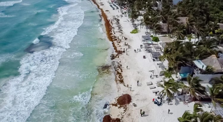 Elaboran estudio de capacidad de carga de las playas de Tulum
