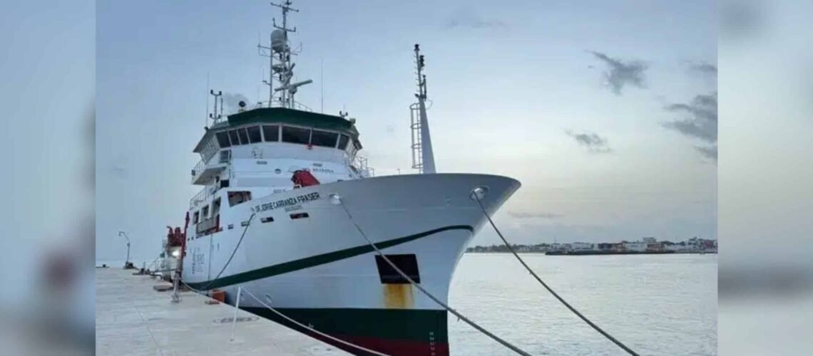 México lidera investigación pionera para aprovechar el sargazo como recurso pesquero