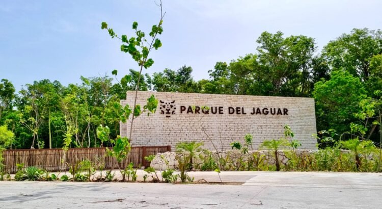 Habrá entrada gratuita al Parque del Jaguar los domingos para mexicanos