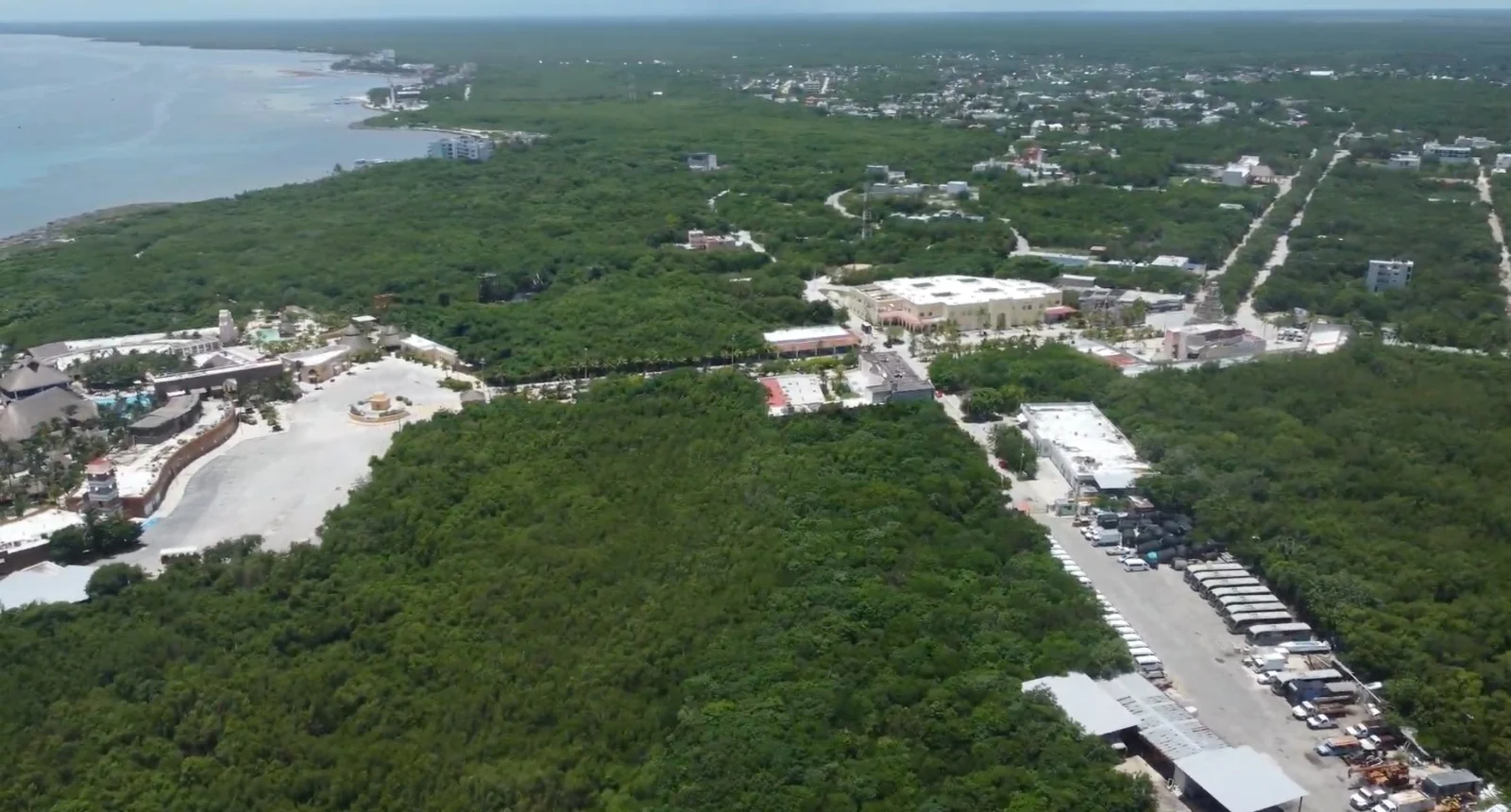 Juzgado federal concede suspensión definitiva a proyecto de Royal Caribbean en Mahahual