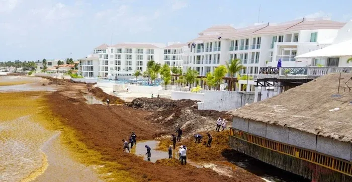 Salud confirma 33 casos de ciclosporiasis en México; inspecciona 16 hoteles en Quintana Roo