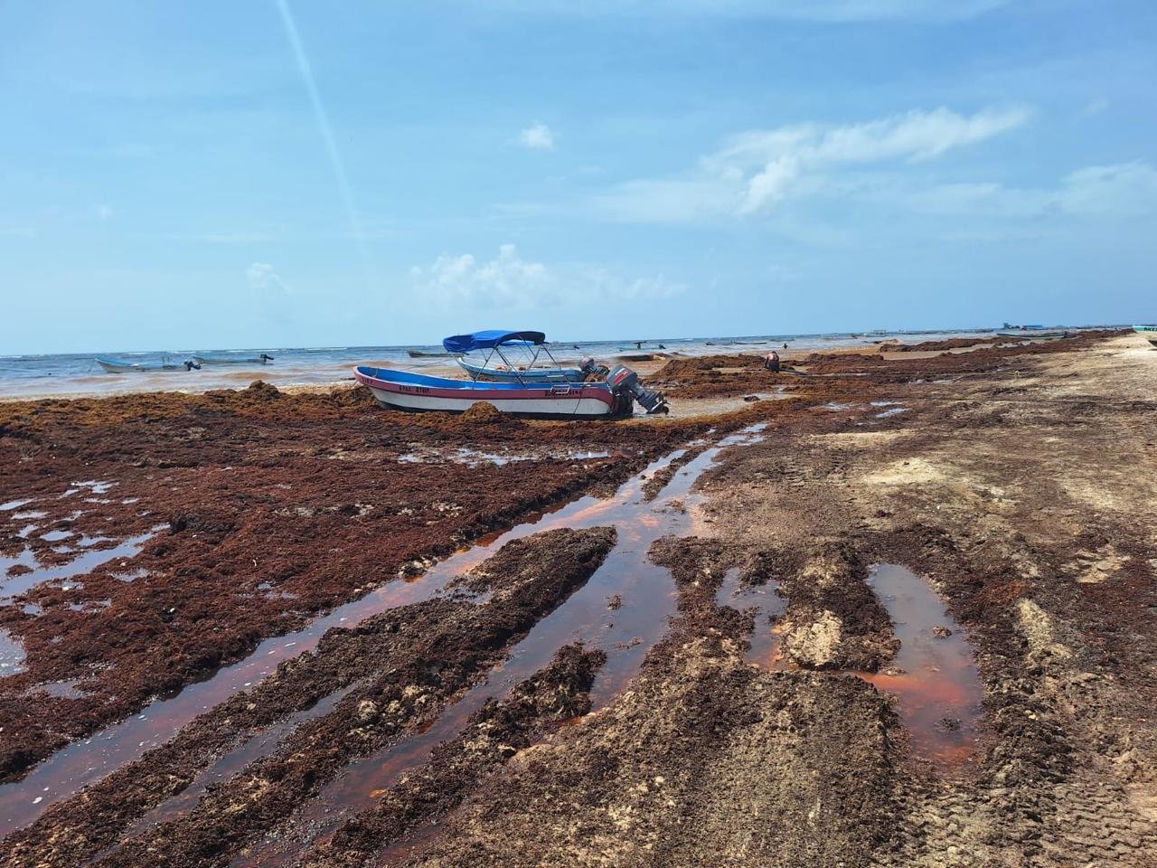 Playa del Carmen y Tulum concentran los mayores niveles de contaminación hídrica en QRoo